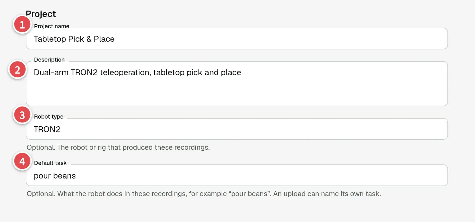 Project fields numbered 1 to 4