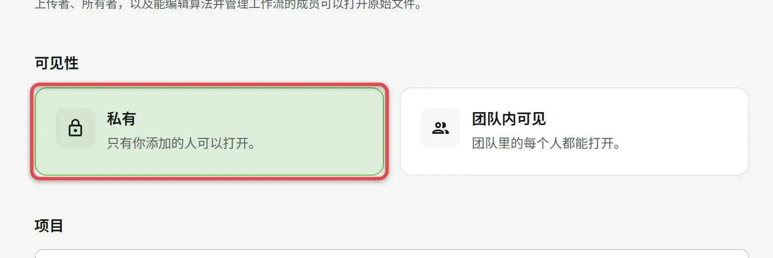 可见性，已选「私有」