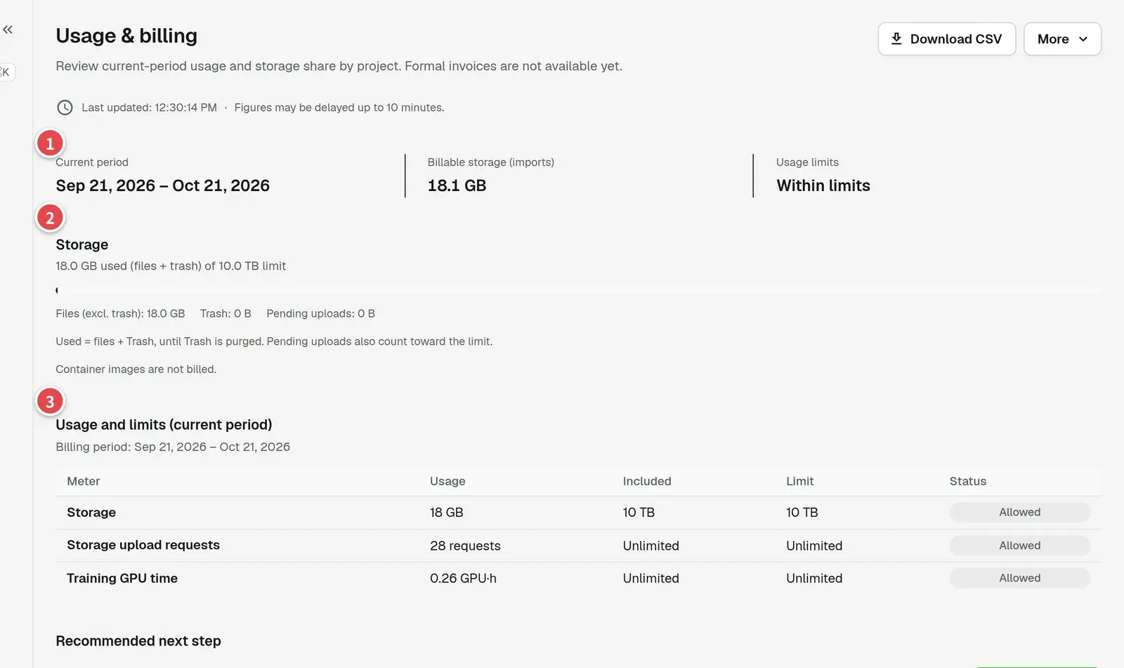 Usage & billing page with the three areas numbered