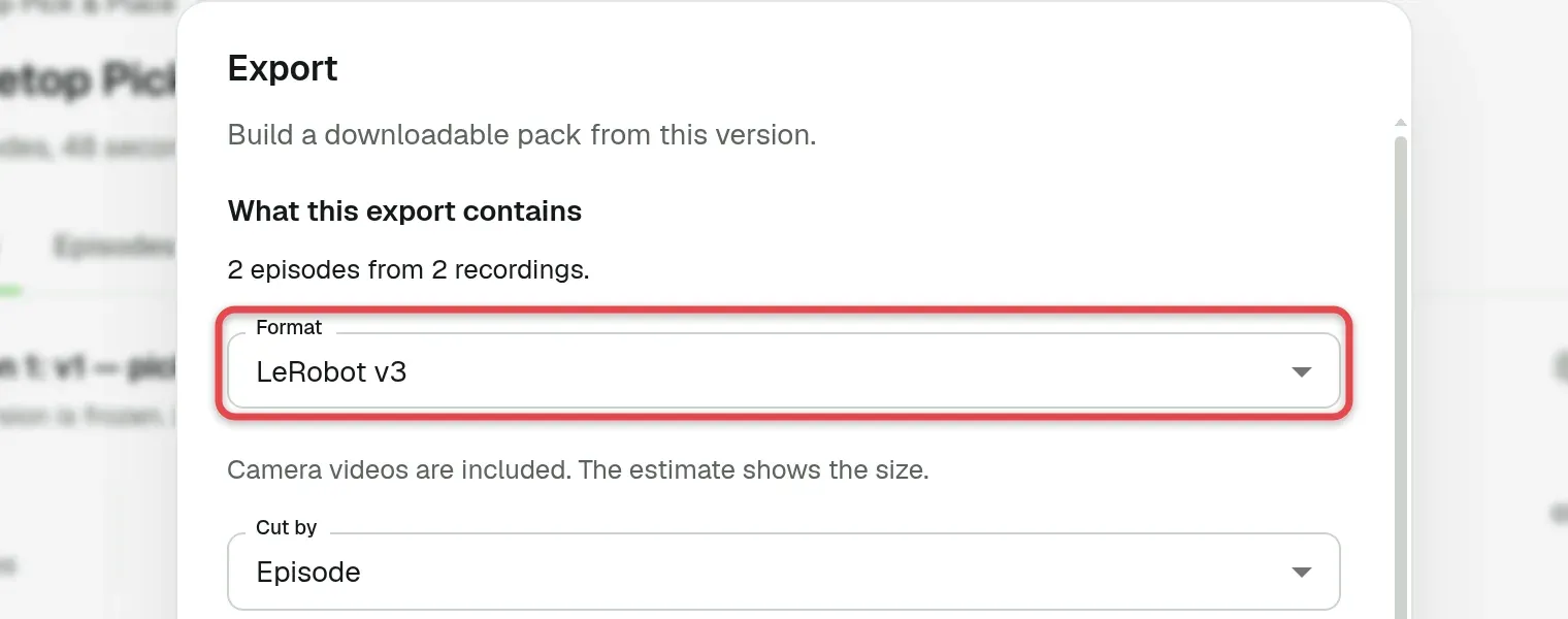 Export dialog with the Format field boxed