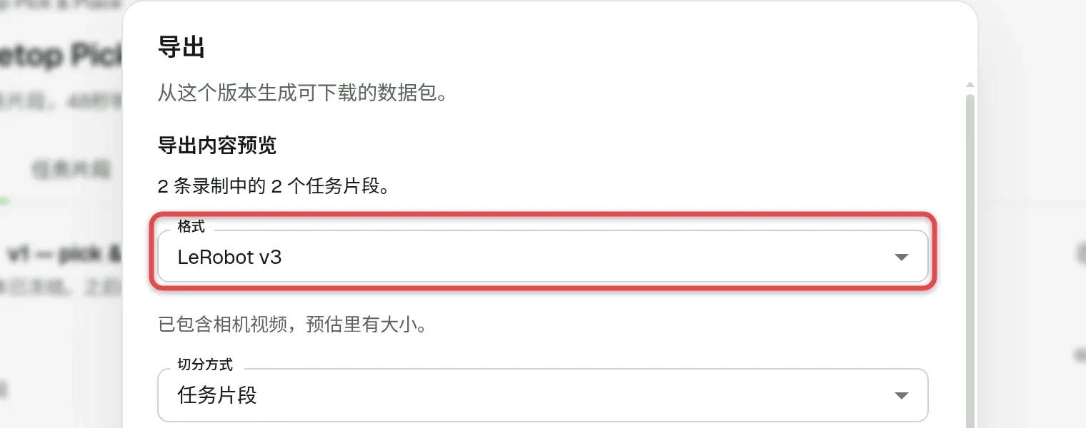 导出对话框，已框出「格式」字段